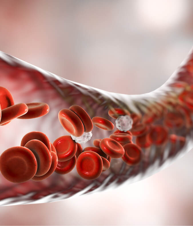 Blood flow