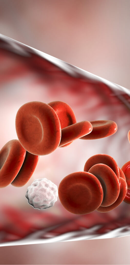 Blood flow