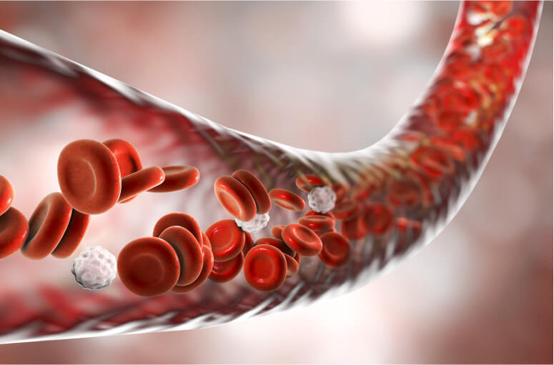 Blood flow