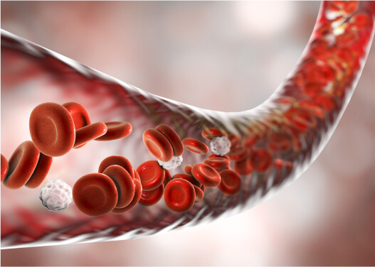 Blood flow
